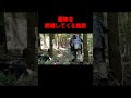 【猟芸】トラの十八番(オハコ)こっちもヒヤヒヤ 目の前に連れて来て撃ち取らす猟芸 #イノシシ#猟犬
