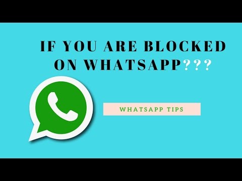 누군가 WhatsApp에서 당신을 차단했는지 어떻게 알 수 있습니까?