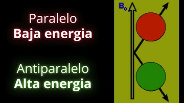 Resonancia Magnética Desde Cero: Introducción y Principios Físicos Básicos