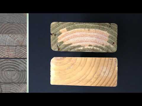 Video: Wood Preservatives