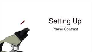 Setting up Phase Contrast