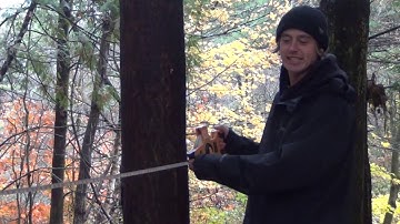 Basics of Forest Health Monitoring for High School Students