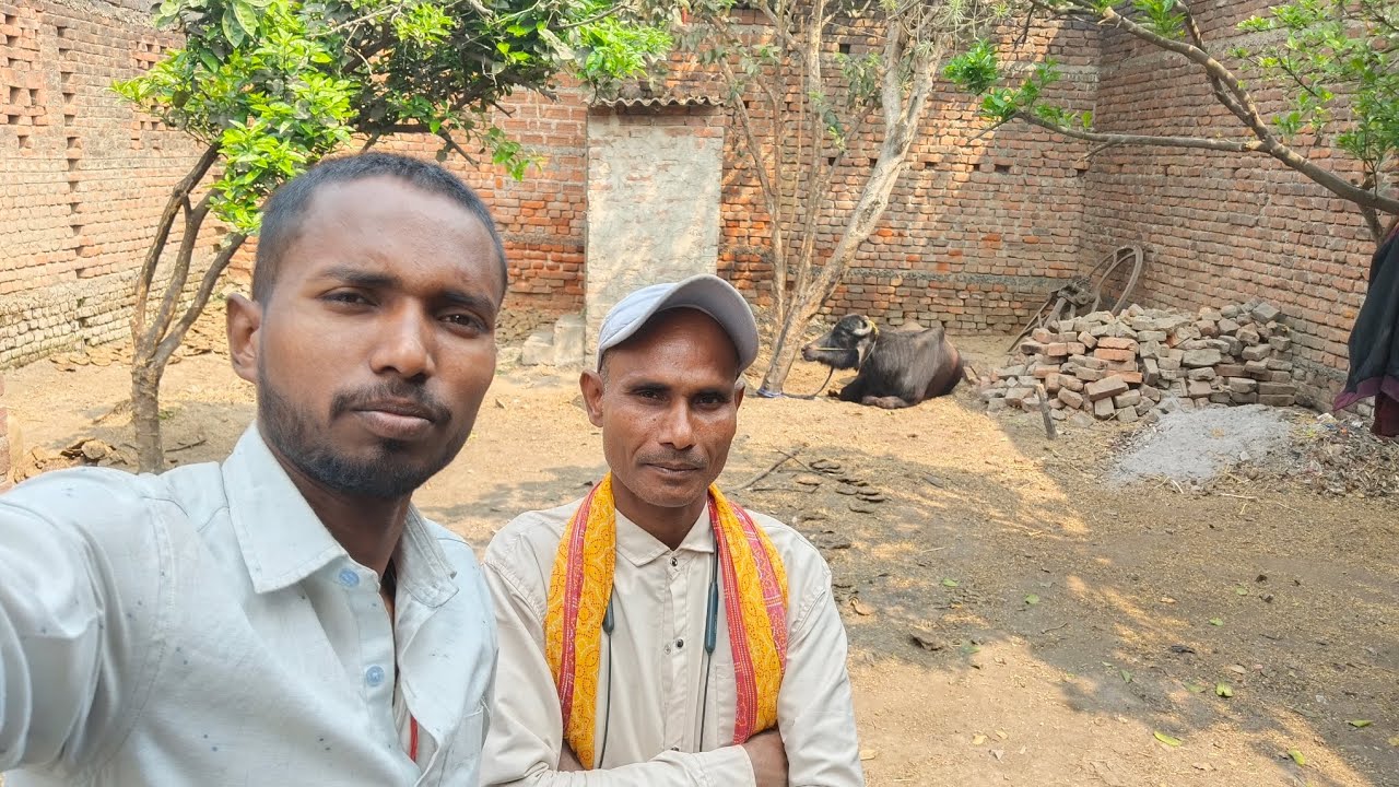 आज हमसे मिलने आए विनय व्यास हलचल #viral #funny #viralvideo #vlog #video #viralvideos 