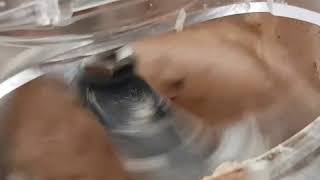 Download Lagu Beslag kloppen met de keukenmachine | Plezierindekeuken.nl MP3 Download Lagu Beslag kloppen met de keukenmachine | Plezierindekeuken.nl MP3