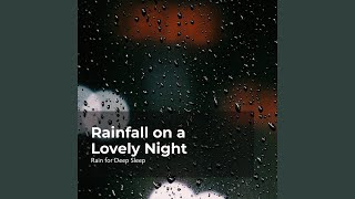 Catnap at Night in Rain