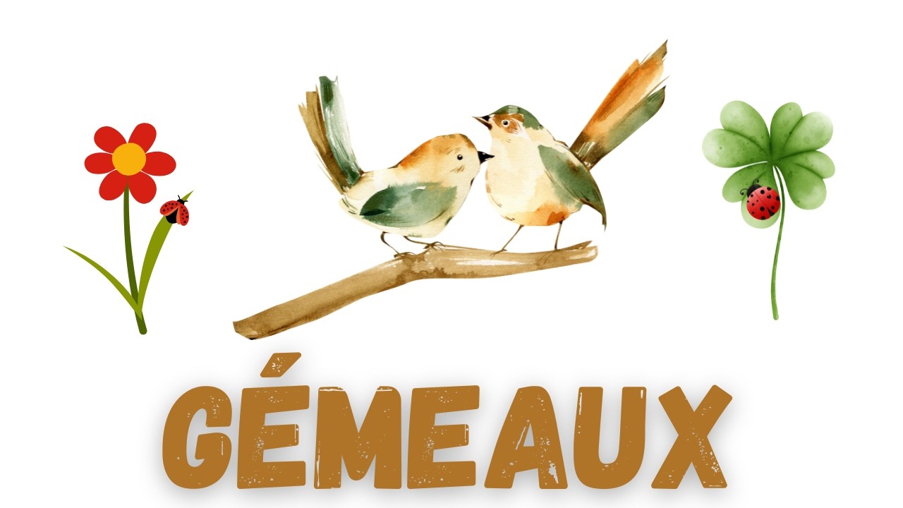 GEMEAUX Une chance incroyable approche… 🥰et un cœur tombe sous votre charme💝🌸