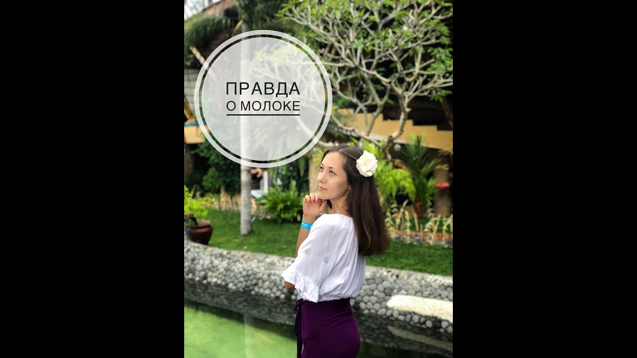 молоко веганство. вегетарианцы пьют молоко. пьют ли веганы молоко. молоко веганство. почему веганы не пьют молоко.