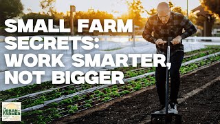 Why MORE LAND Won't Make Your Farm MORE PROFITABLE (Hard Truth) (The Urban Farmer Rewind-S1W9)