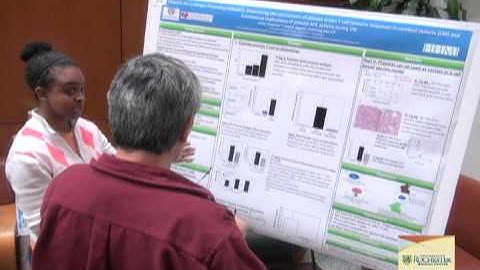 Ph.D. Program in Translational Biomedical Science