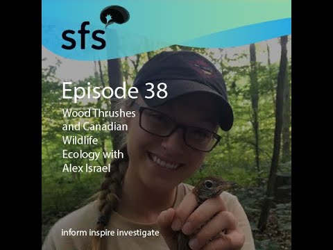 Ep. 38: Wood Thrushes and Canadian Wildlife Ecology with Alex Israel