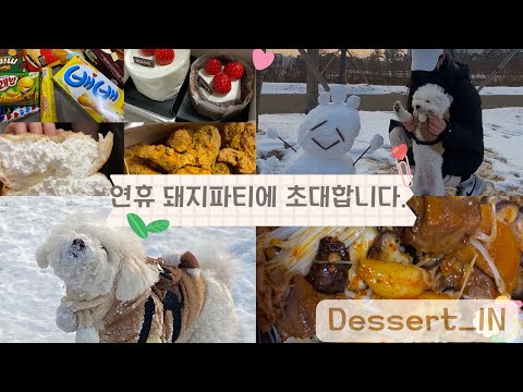 [연휴 돼지파티 브이로그] 🐾저희 집 강아지를 소개합니다🐾 | #브이로그 | #먹방 | #일상 | #강아지 | #비숑