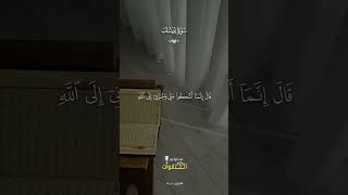 Heavenly Voice: Deep Emotional and Calming Quran Recitation for Soul Healing #HolyQuran #Soul