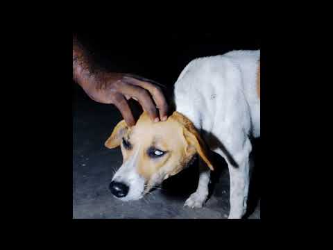 D'Angelo x Erykah Badu x Fugees Neo Soul Type Beat - Echoes of A Man