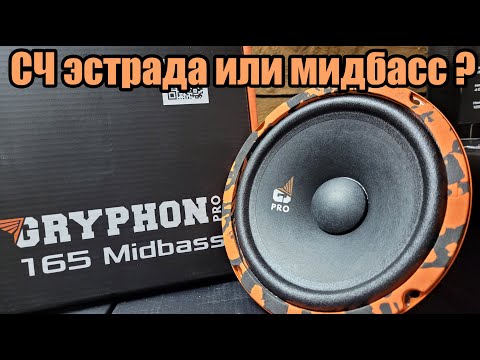 Видео: Громко и с басом - DL Audio Gryphon Pro 165 MidBass