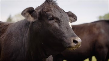 One-nostril administration of Inforce 3