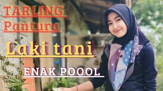 Tarling Pantura Cirebonan laki Tani Enak Poool 