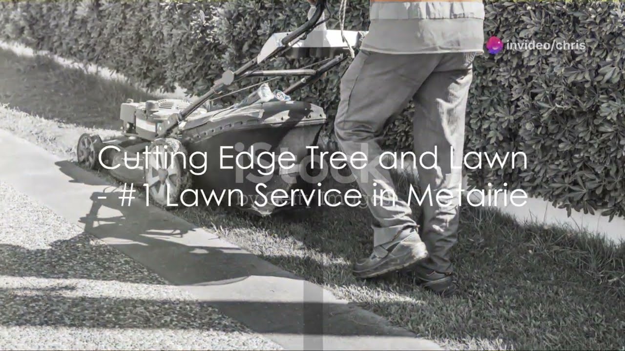 Cutting Edge Lawn  Care