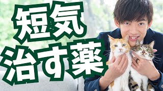 あの有名な頭痛薬で【イライラと短気で治る】ことが判明