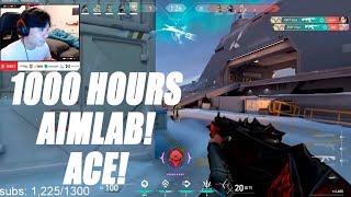 What 1000 Hours of Aim Lab Looks Like...