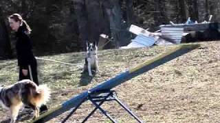 Ace Teeter Work