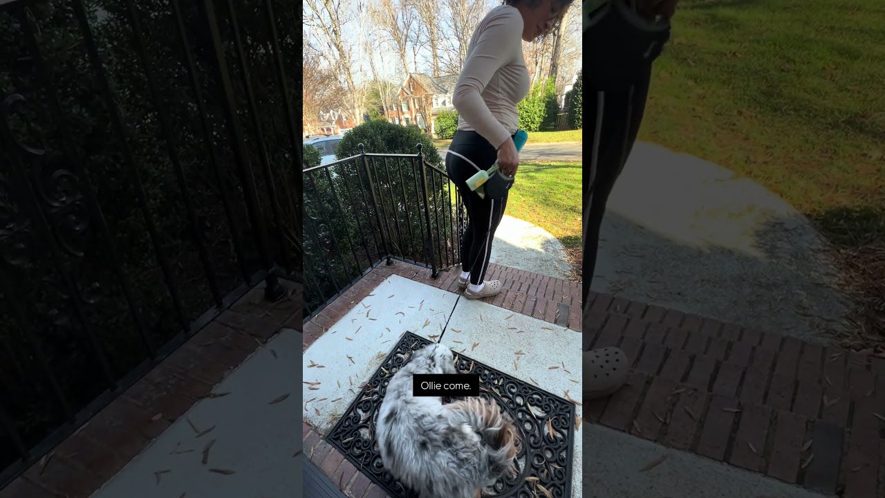 Достичь низкой активности сложно, если ваша собака чрезмерно возбуждена/нервничает при появлении ...