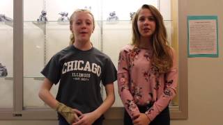 Palmyra Middle School Mini-THON 2017 RECAP