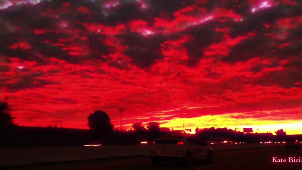 малиновое небо малиновый закат. малиновый закат. малиновый свет. малиновый закат за мкад. фиолетовый закат.