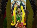 അമ്മേ ശരണം ദേവി ശരണം