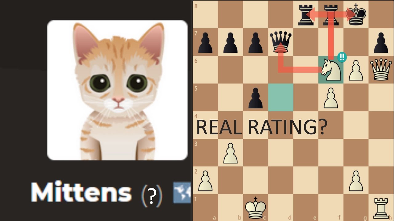 What is Mittens' ACTUAL Chess Rating? 