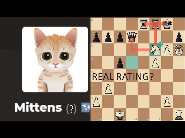 Mittens Official Rating Has Been Revealed - Chess Forums 