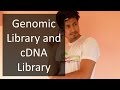 Gene Library | Genomic Library and cDNA Library