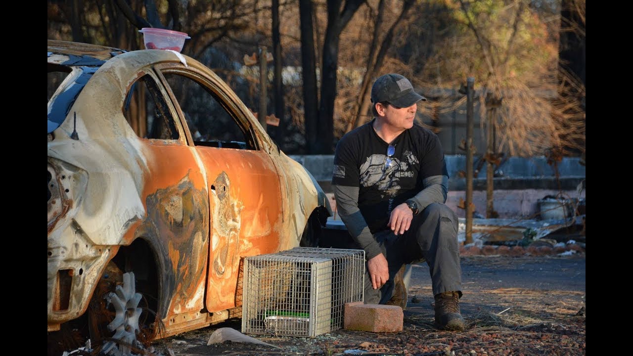 CAPTIONED Shannon Jay Fire Cat Rescue Seminar