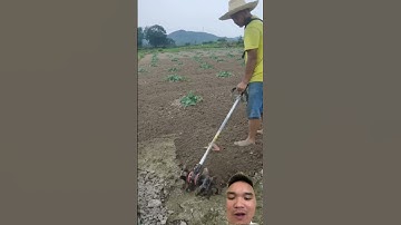 xới đất bằng máy cắt cỏ #agriculture