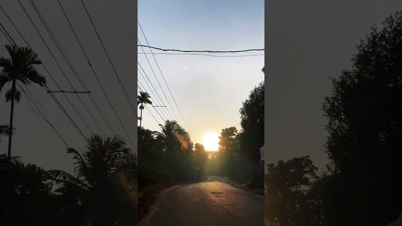 #nature #sunrise #sunset #photography #photooftheday #photo #shorts #reels #youtubeshorts #trending