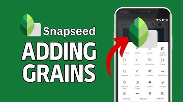 How to Add Grain in Snapseed 2024?