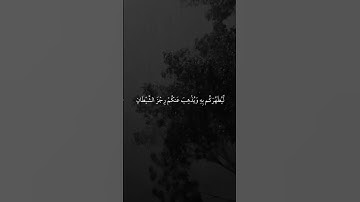 الراحه النفسيه _ القرآن الكريم _ آيات قصيره انستكرام _ حالات واتس اب _ #الشيخ_ماهر_المعيقلي
