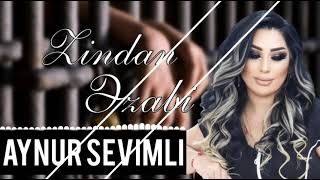 Aynur Sevimli - Zindan Ezabi 2023 Resimi