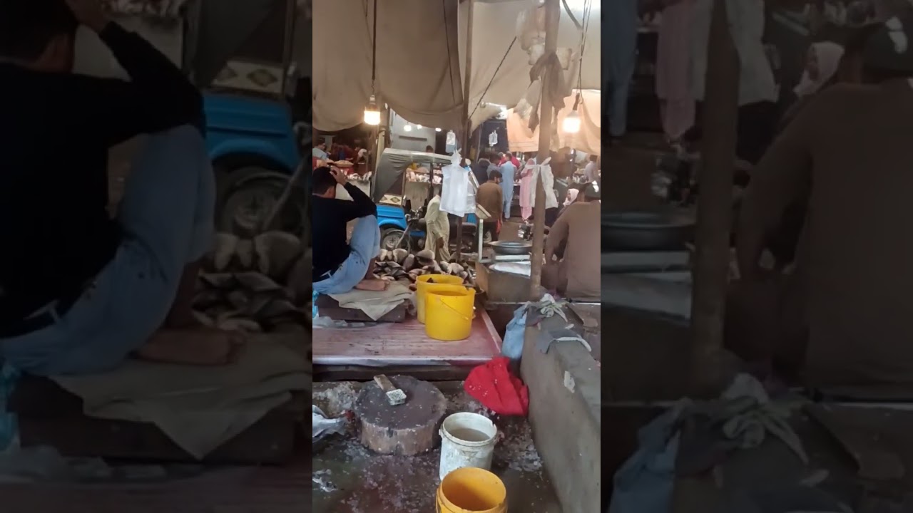 Bufferzone Fish Market 