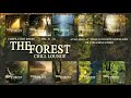 The Forest Chill Lounge  | Ambient & Chillout Tunes