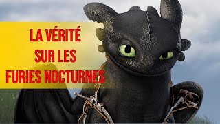 Qu'est-ce qui est VRAIMENT arrivé aux FURIES NOCTURNES | #dragon #crockmou