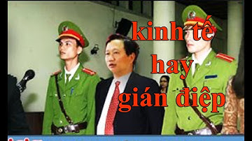 Trịnh Xuân Thanh: tội phạm kinh tế hay là gián điệp?