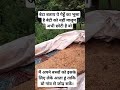 मैं अपने बच्चों को इसके लिए लेके आता हूं ताकि बो गांव से जोड़ सकें। #shortsvideos #funny #vilagelife