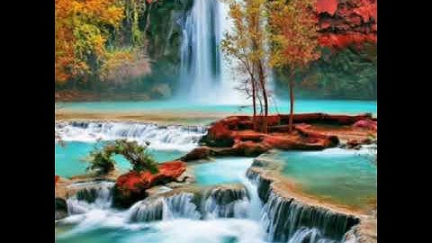 تلاوة من "صلاة التراويح" بصوت القارئ: محمد عبد الحكيم هائل اليمني