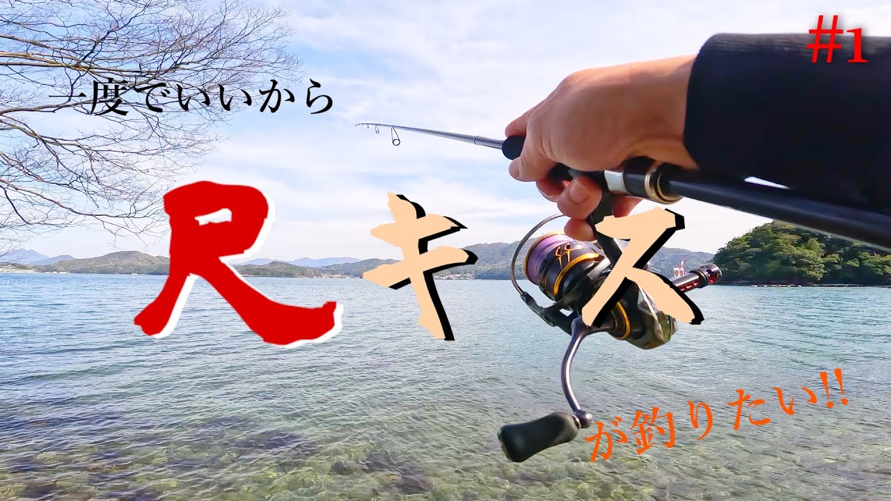 【筏の、デカギス】一度でいいから尺キスが釣りたい!!#1【キス釣り】