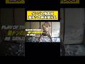 OW2 ゲンジの物真似 龍チンの剣を喰らえ!