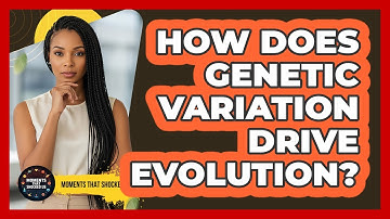 How Does Genetic Variation Drive Evolution?