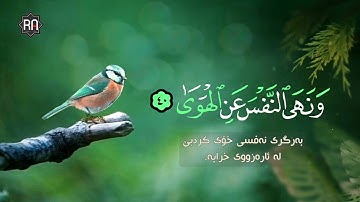 وأمّا مَنْ خافَ مَقامَ ربهِ ... رعد الكردي اواخر سورة النازعات 🥺💜