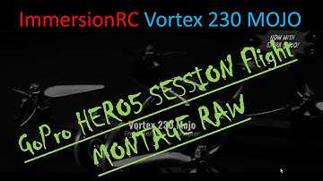 Vortex 230 Mojo GOPRO Hero5 Session  Multi Flight RAW MONTAGE of Park Cruise 2017 1203