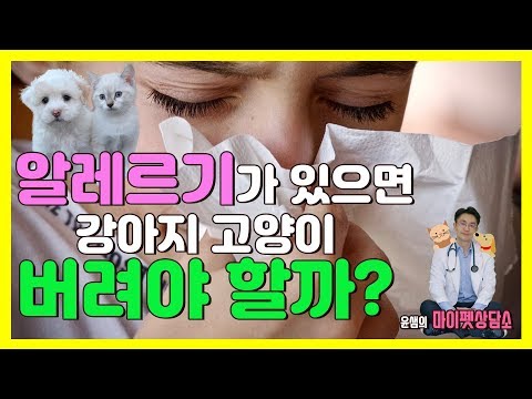 알레르기가 있으면 강아지 고양이를 버려야 할까?