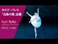 キエフ・バレエ｢白鳥の湖｣全編　KYIV BALLET/SWAN LAKE